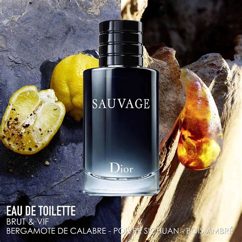 eu de toilette dior|dior sephora sauvage cologne.